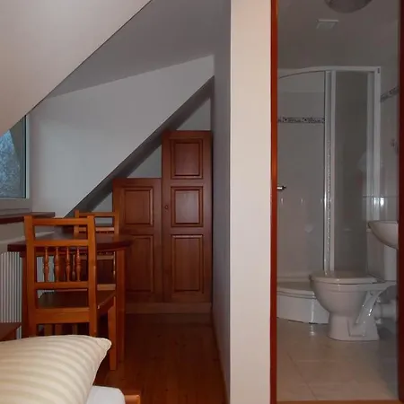 U Janatu S Ubytovanim Inn Cestin