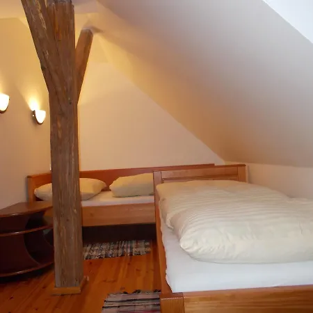 U Janatu S Ubytovanim Cestin