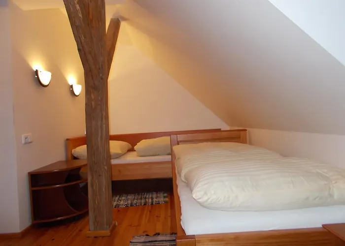 U Janatu S Ubytovanim Cestin